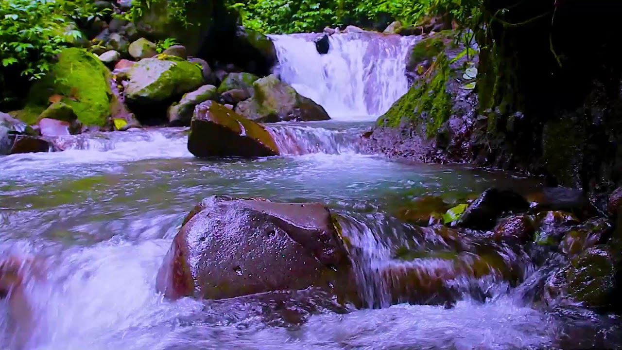 Fall Asleep Faster with River Sounds | Deep Sleep Water Ambience