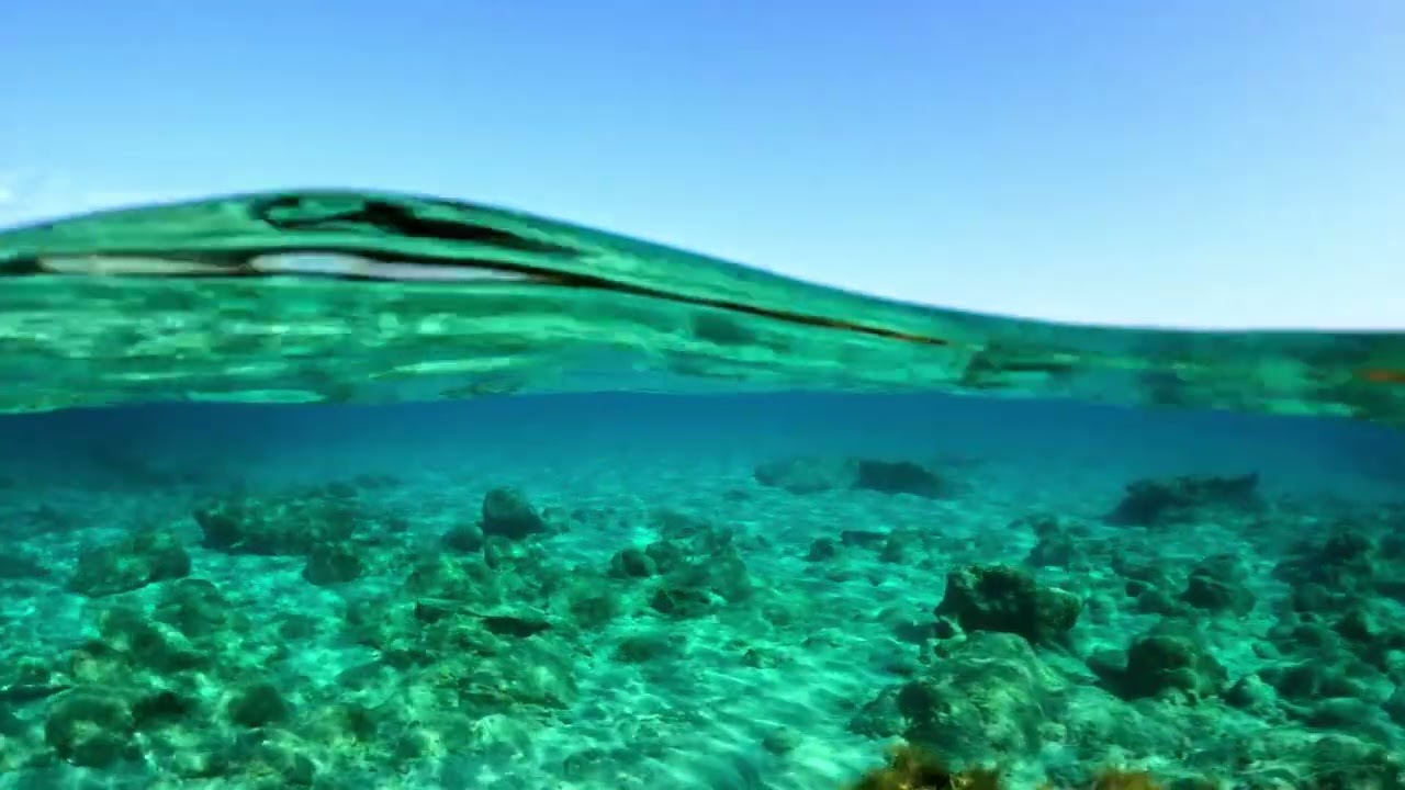 Arrecifes de coral (Nos los vamos a cargar)