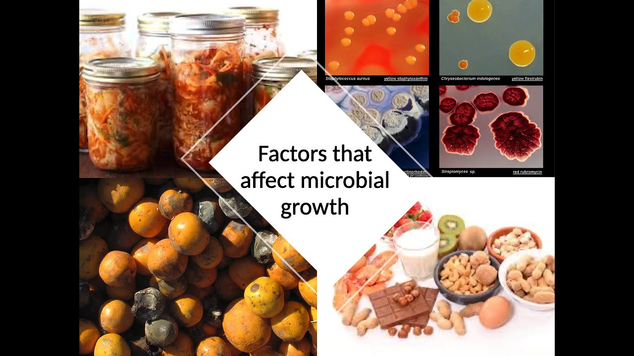 Factors Microbial Growth