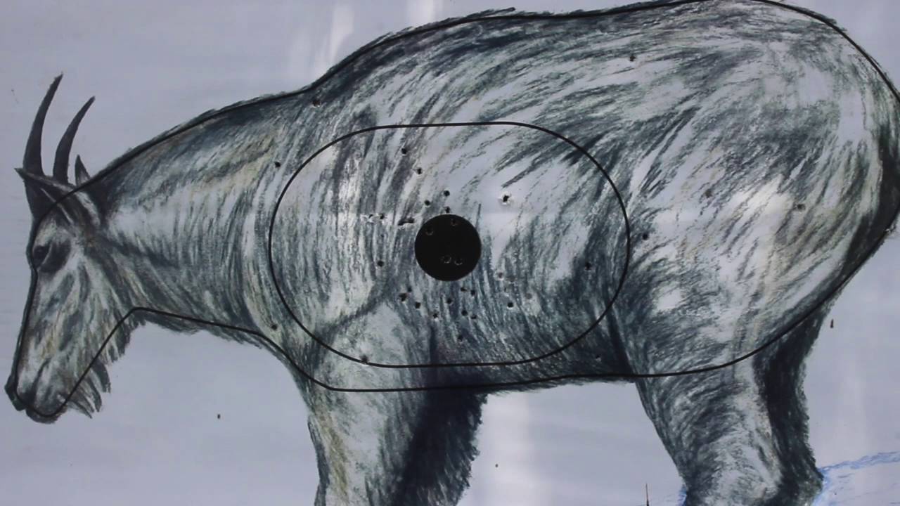NFAA Field: Fundamentals of an Animal Round