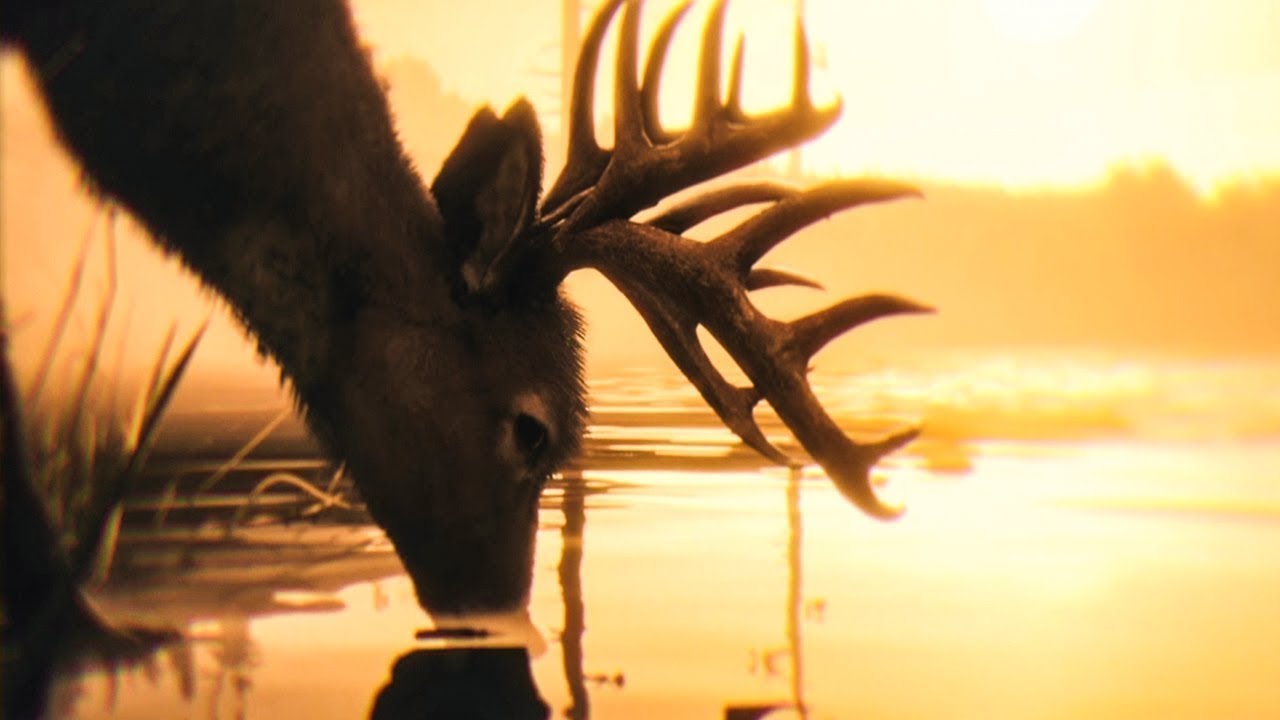 Red Dead Redemption 2 Spiritual Animal Theme (Perfect 5 Minute Loop)