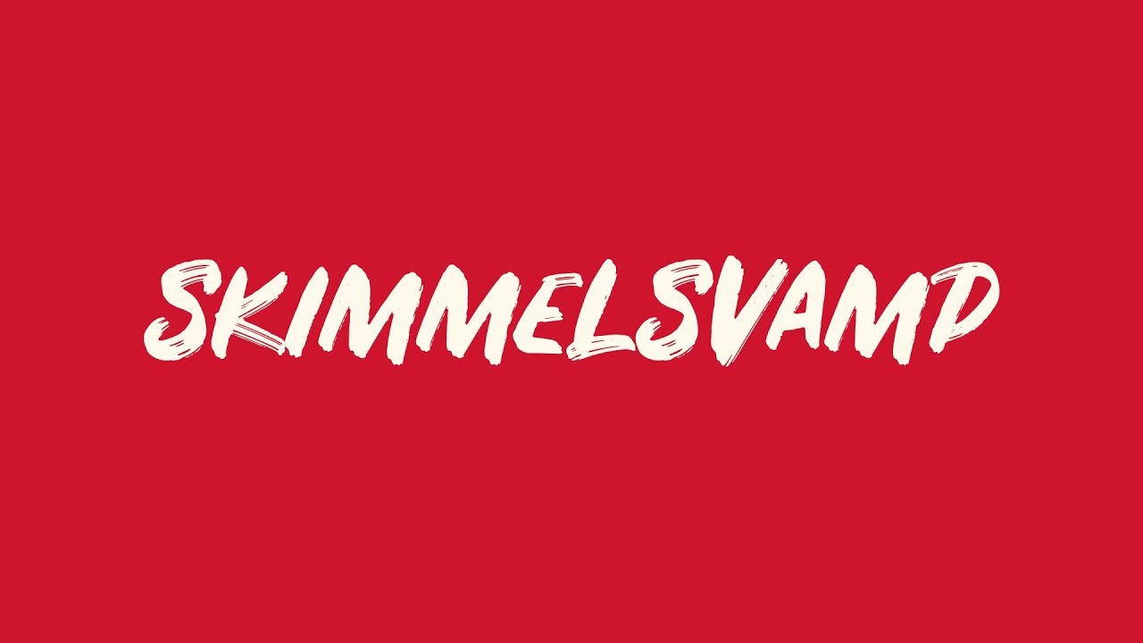 Hvad er skimmelsvamp