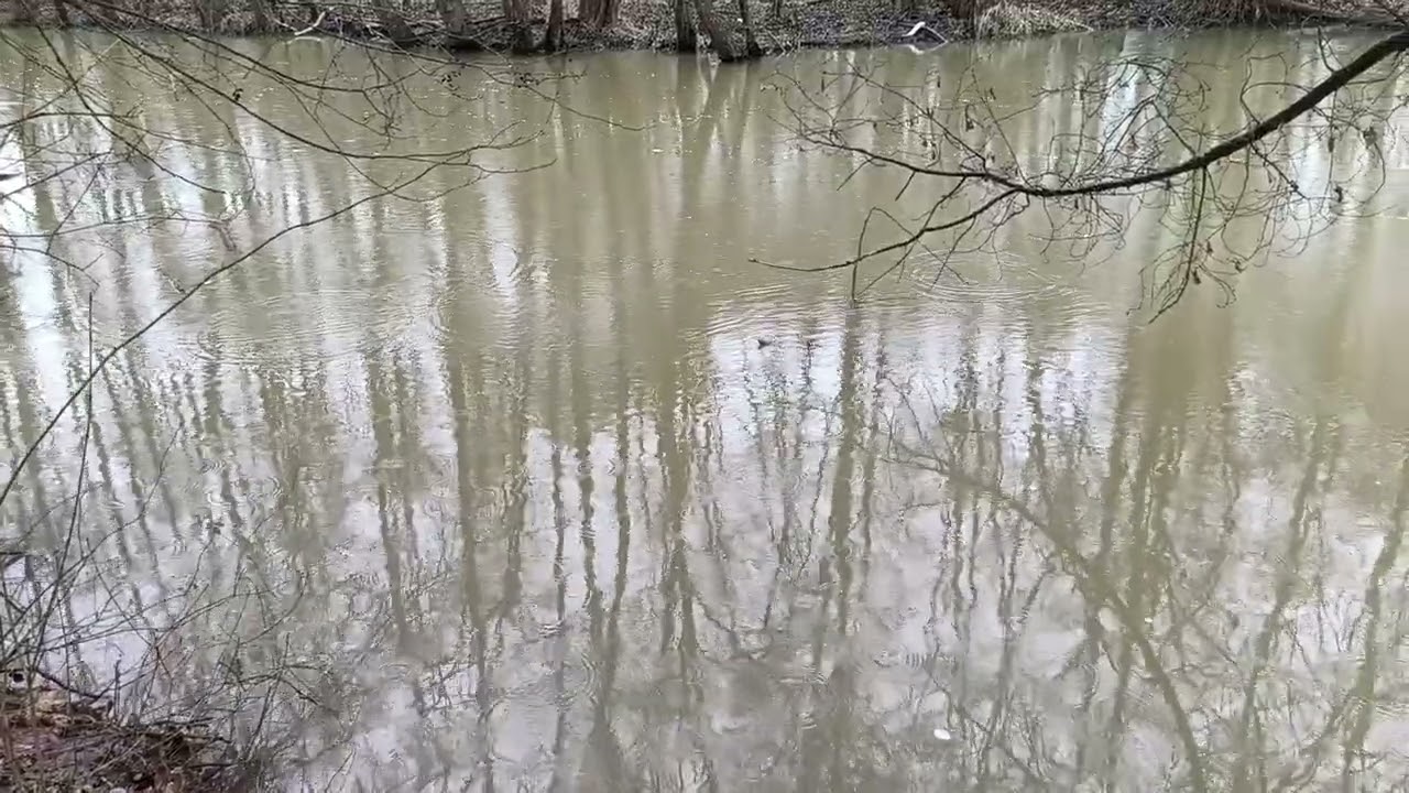 #ПрироданаЮтуб#NatureonYouTube#NaturalezaenYouTube#NaturesurYouTube#NaturezanoYouTube#AlamdiYouTube