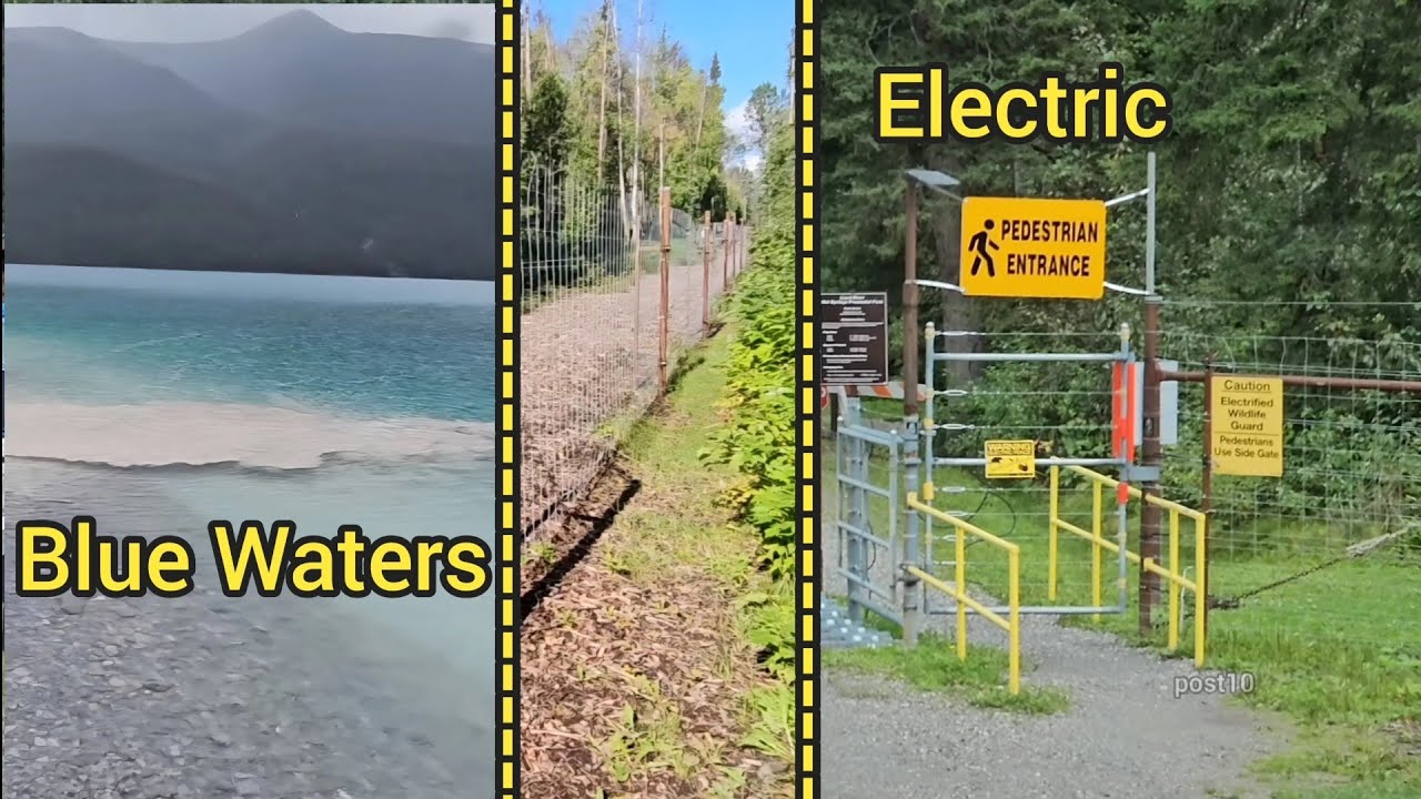 Camping Behind Massive Electric Fence With Grizzlies And Beautiful Waters Of British Columbia 