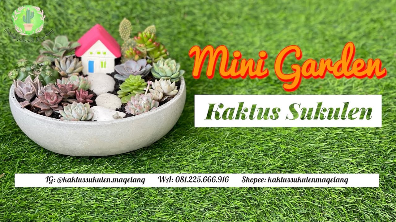 Kaktus Sukulen Arrangement Mini Garden