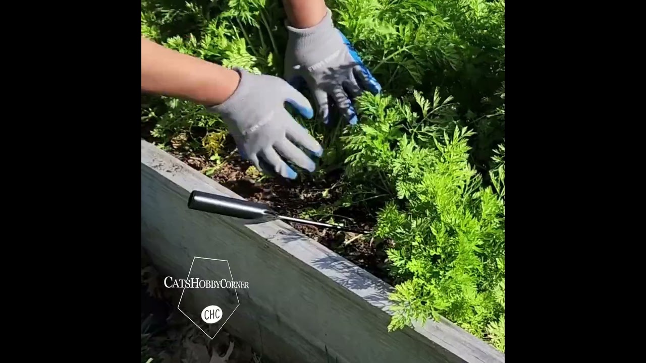 One of the Best Budget Weeding Tools  -  #catshobbycorner