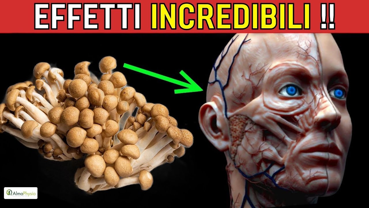 INCREDIBILE! Scopri questo ALLEATO SEGRETO per COMBATTERE i VIRUS