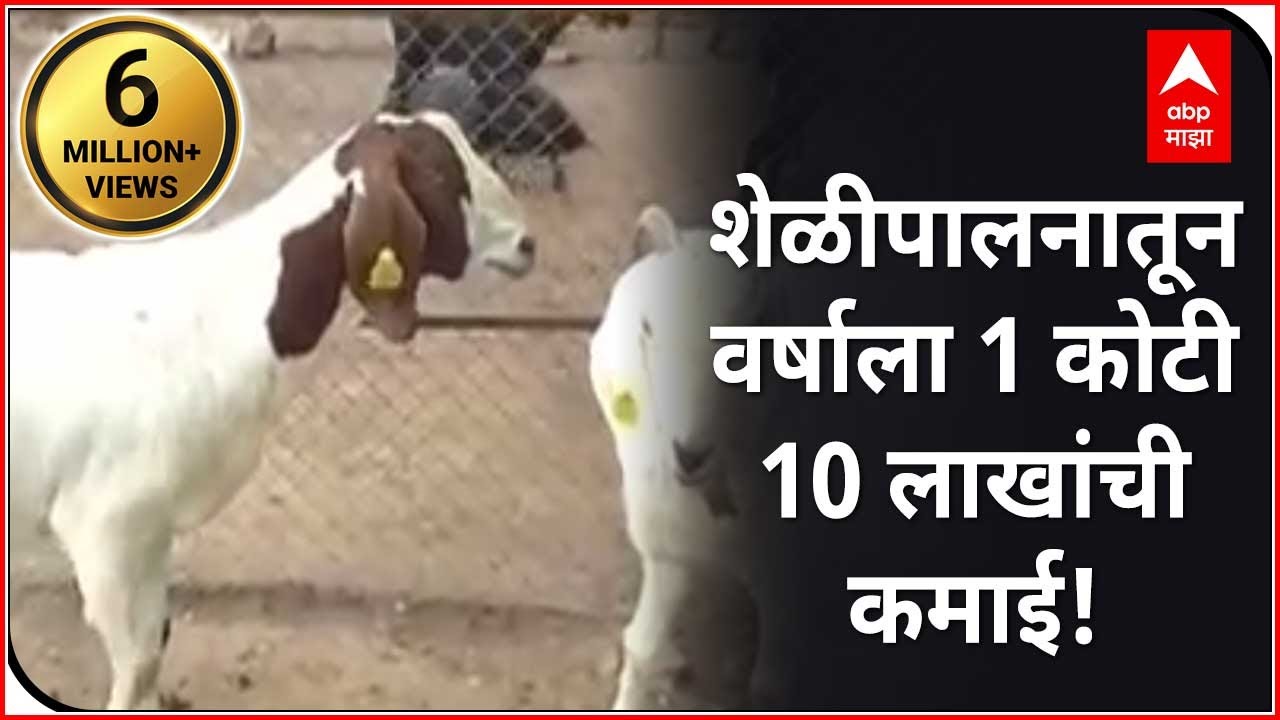712: पाथर्डी अहमदनगर: शेळीपालनातून वर्षाला 1 कोटी 10 लाखांची कमाई!