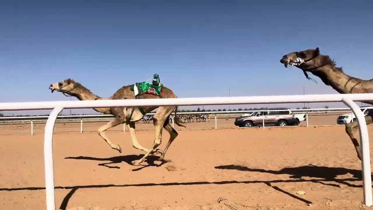 ش 3 بكار جذاع صبا ل مانع محمد ثاني بن قطامي 