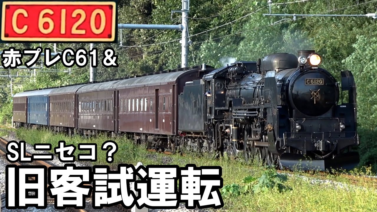 【SLを見る】エリートの証”赤プレ”装備のハドソン機＆旧客試運転（C6120）