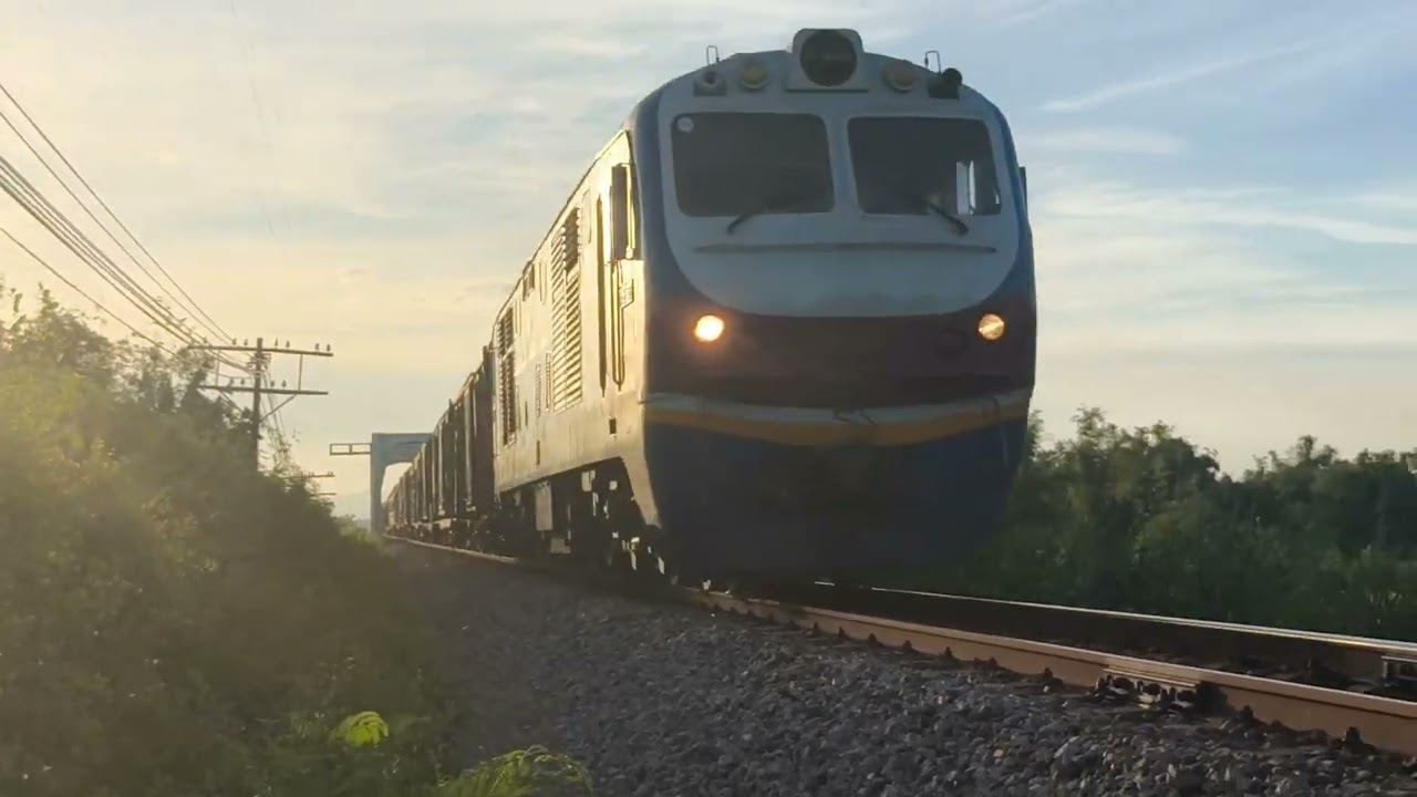 Các chuyến tàu đi qua vùng ruộng lúa xanh ngát trong ánh chiều vàng