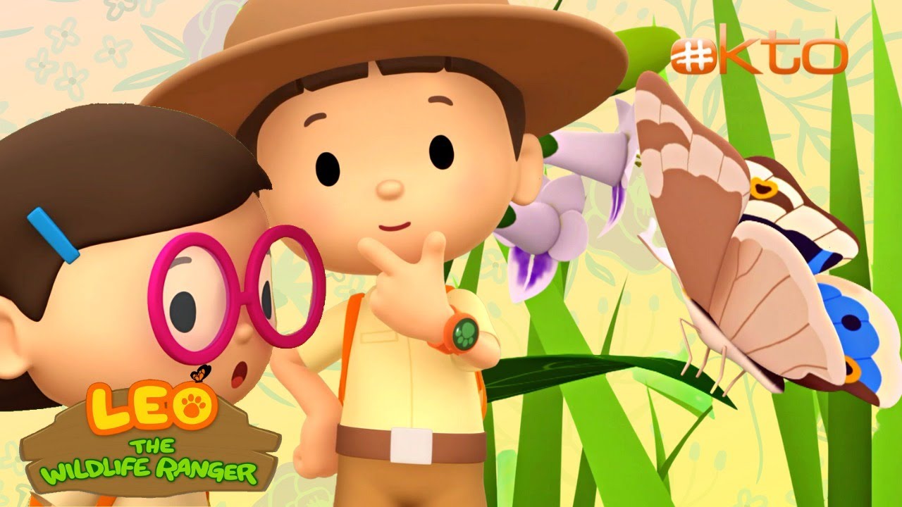 Leo the Wildlife Ranger | LEARN How A Caterpillar Becomes A Butterfly 🦋| @mediacorpokto      ​