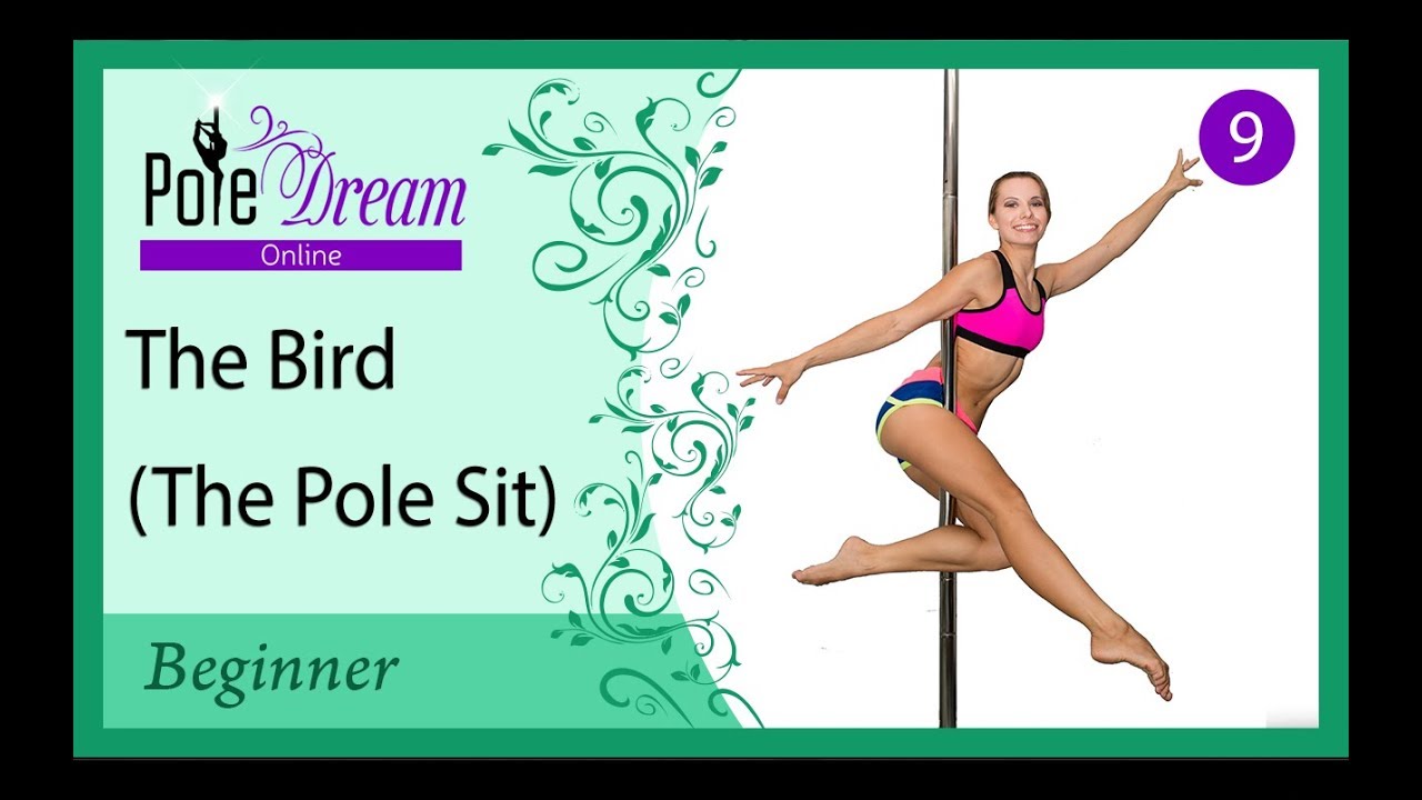 9 - Bird \ Sitting Bird \ Pole Sit - Pole Dance Lessons
