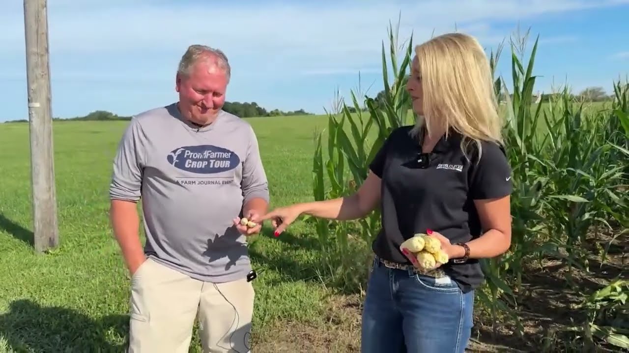 Pro Farmer Crop Tour 2026: Day 3 Coverage