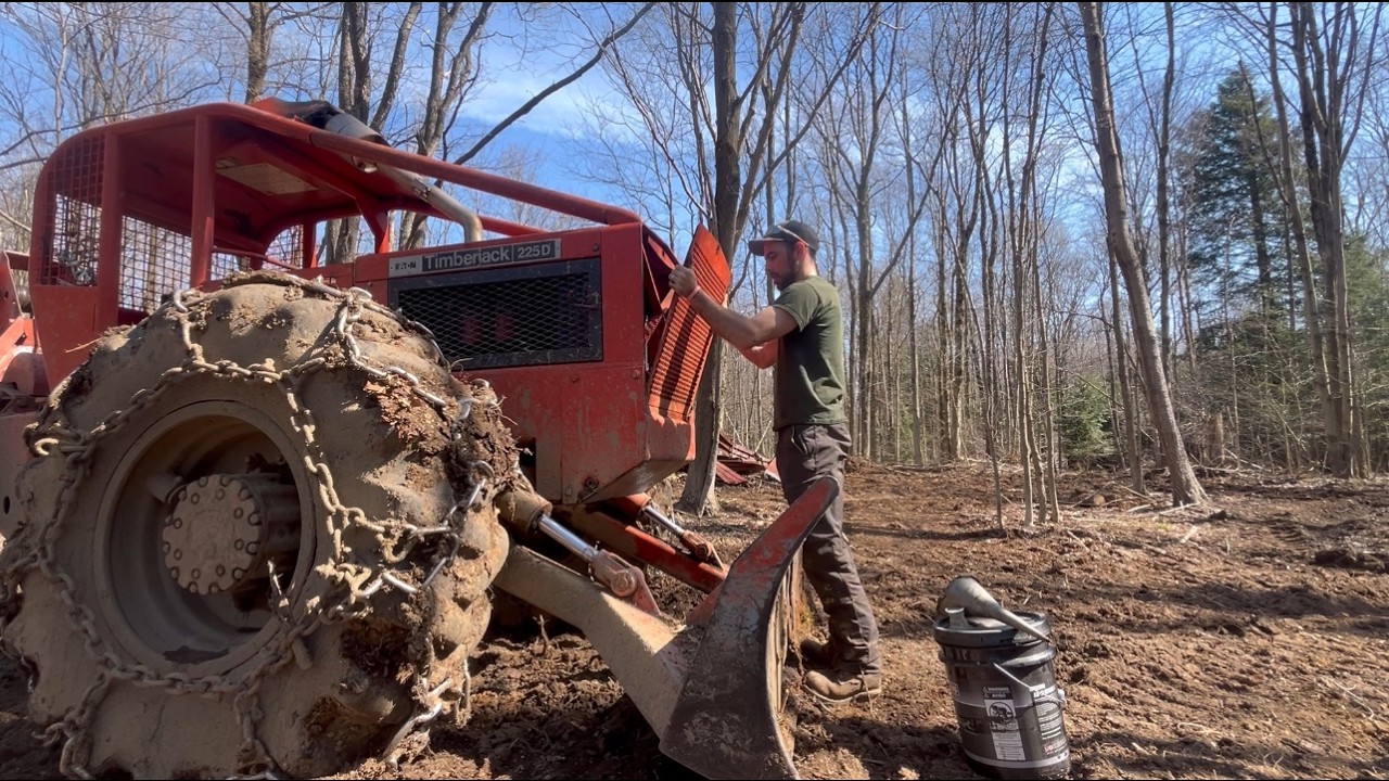 Tree cutting with a chainsaw