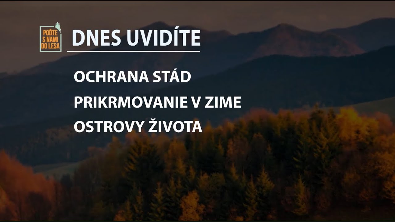 Poďte s nami do lesa 21/2025