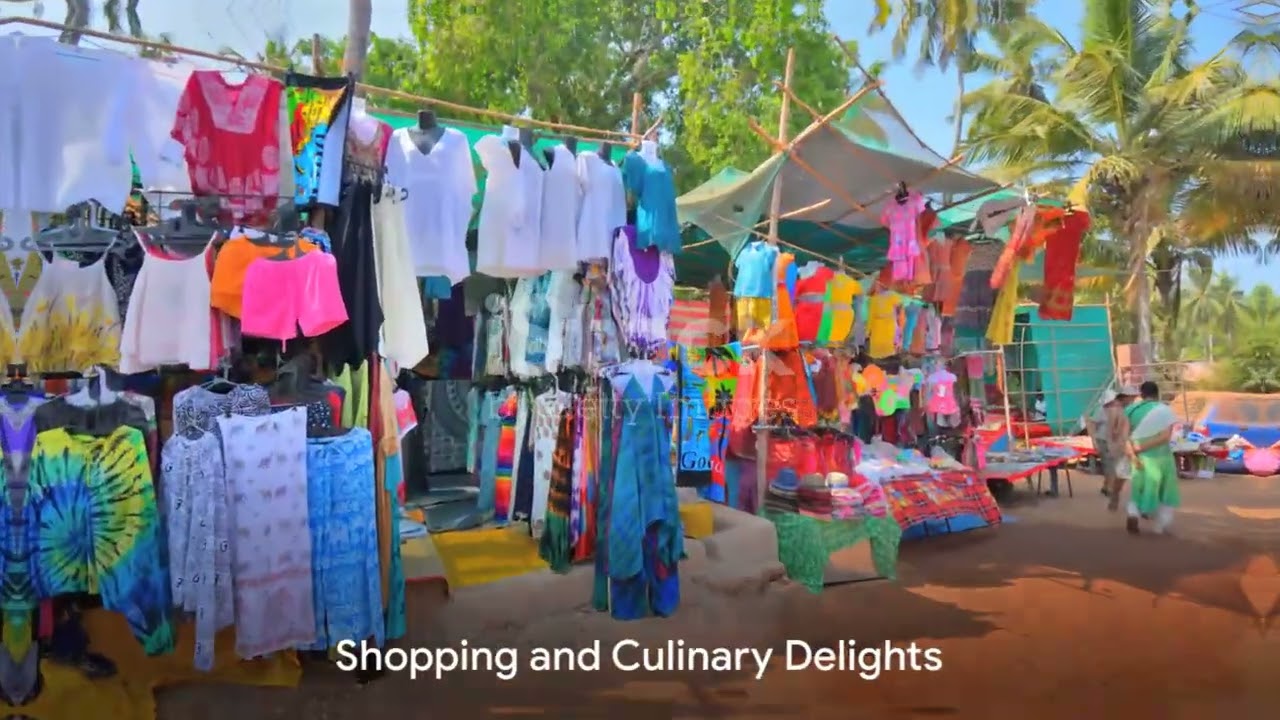 Top 15 Things to Do in Goa: A Tropical Paradise