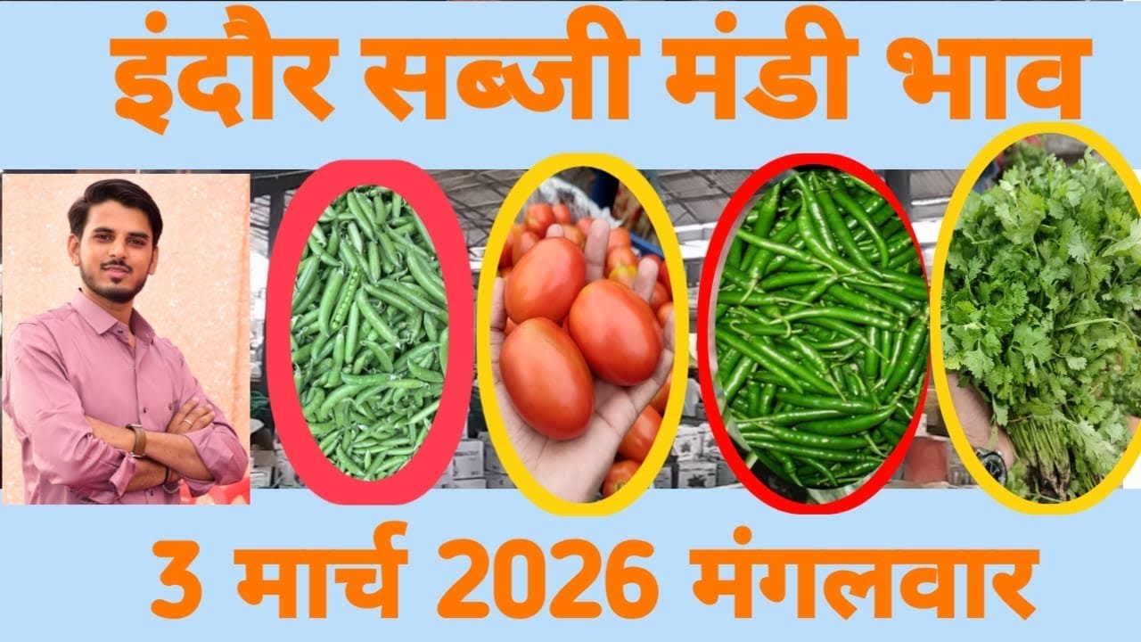 Vegetable market Indore 🥒🥕🧄🧅🫑🌶 / #sabjimandiindore #sabjibhav /nilesh patidar indore