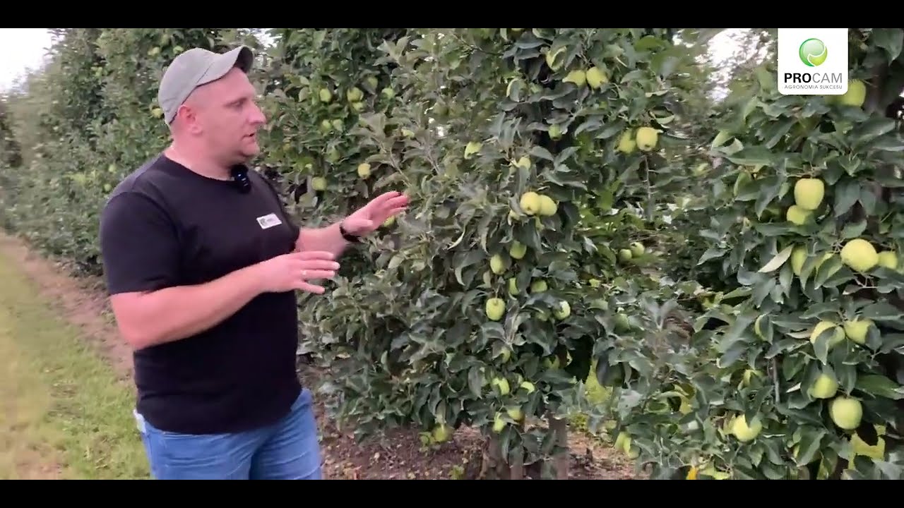 Procam Horti: Ochrona przedzbiorcza w sadach. Pamietajmy o karencji środka .