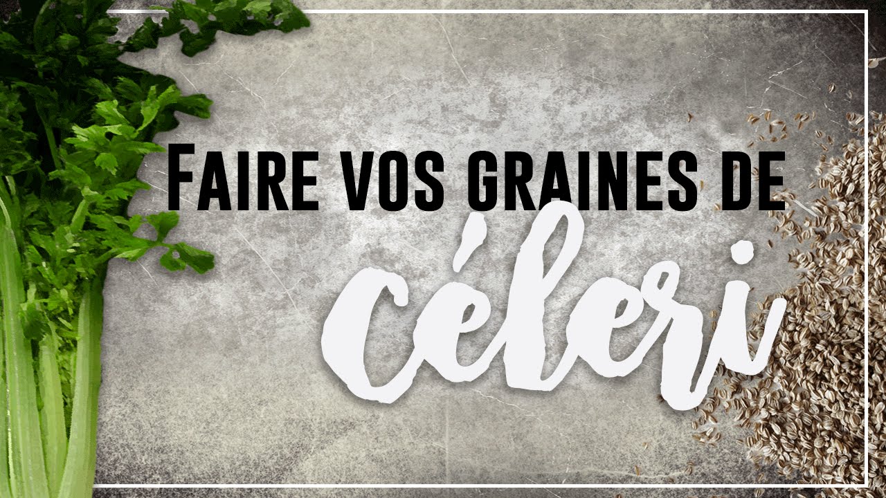 🌿Permaculture : Récolter ses graines de 