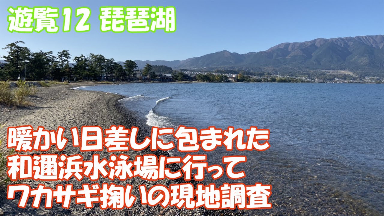 【これぱ！遊覧12】琵琶湖の湖西、大津市の和邇浜水泳場（和邇南浜）にワカサギ掬いの現場調査に行ってきた