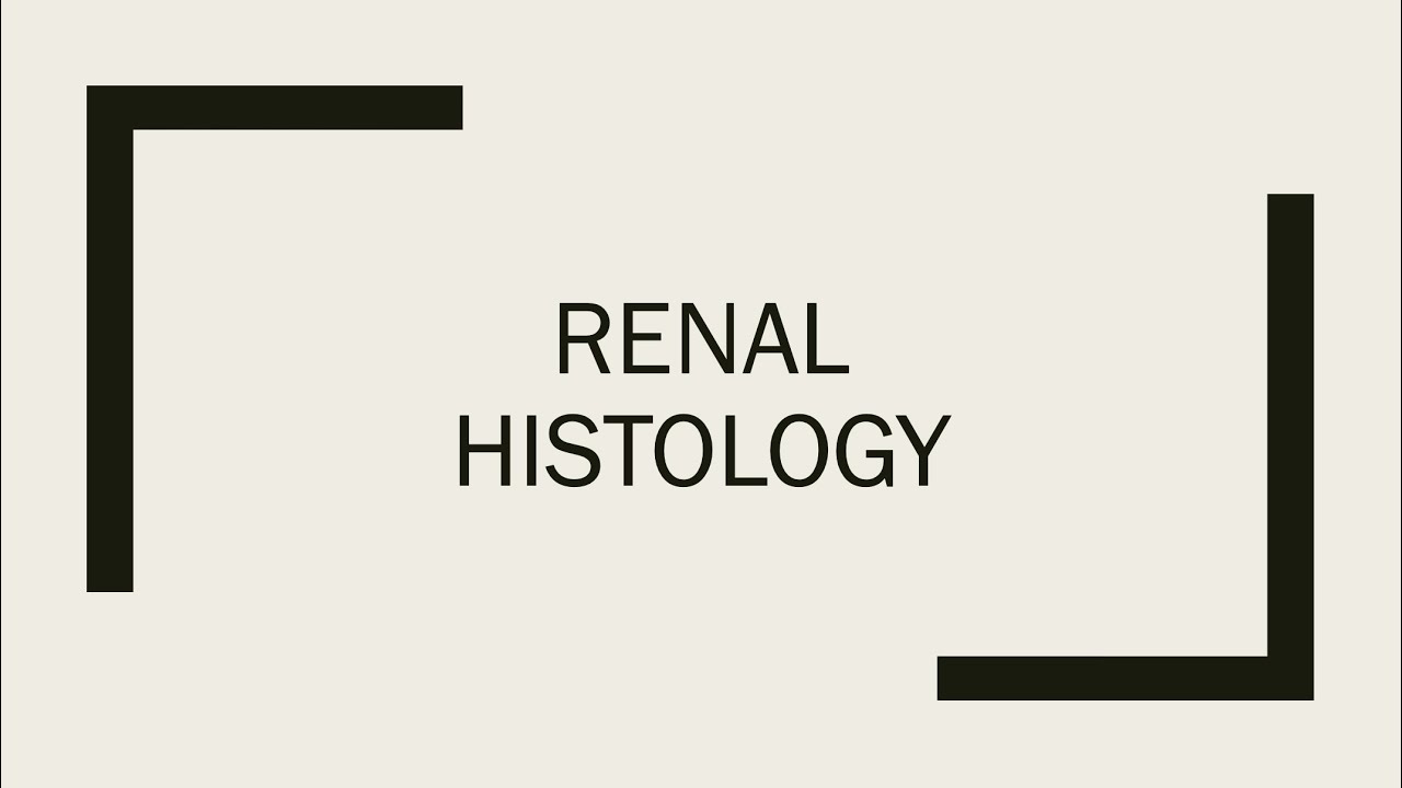 Renal Histology