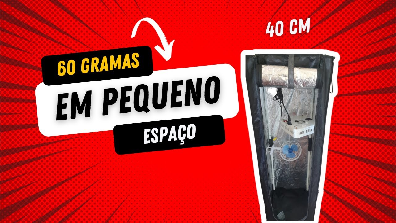 60g de flores em cultivo de 40 cm