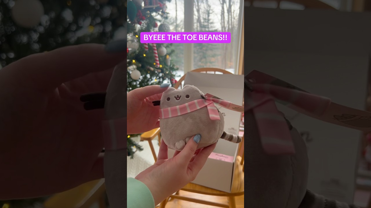 2024 Winter Pusheen Box! 