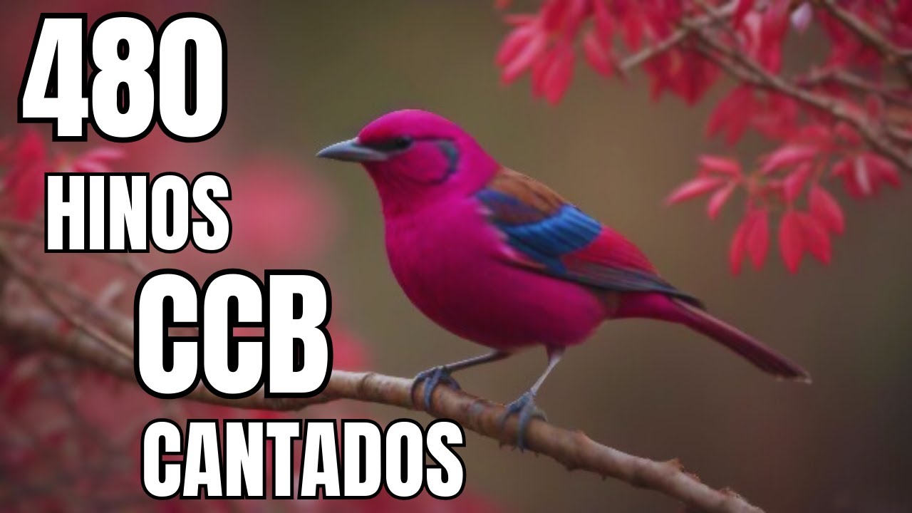 480 HINOS CANTADOS CCB-  05/02/2026  HINÁRIO 5 - CCB 1,2,3,4,5,6,7,8,9,10,11,12,13,14,15,16,17,18...
