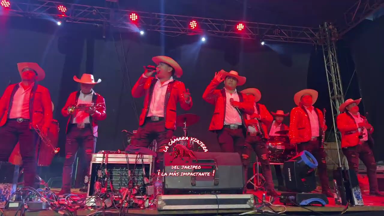 La Unica De Guerrero [ Sones ]