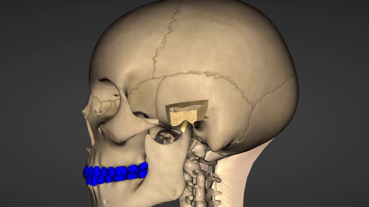 BITE MATTERS!  Occlusion AFTER TMJ SURGERY With Dr. Mark Piper & Dr. Nick Yiannios