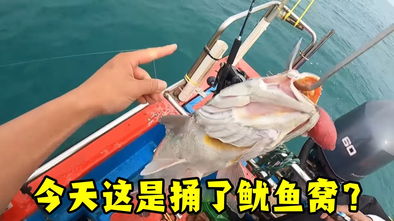 今天这是捅了鮸鱼窝了吗？大鱼连杆根本停不下来，最后收获满满一大箱的鱼【钓鱼大锋子】