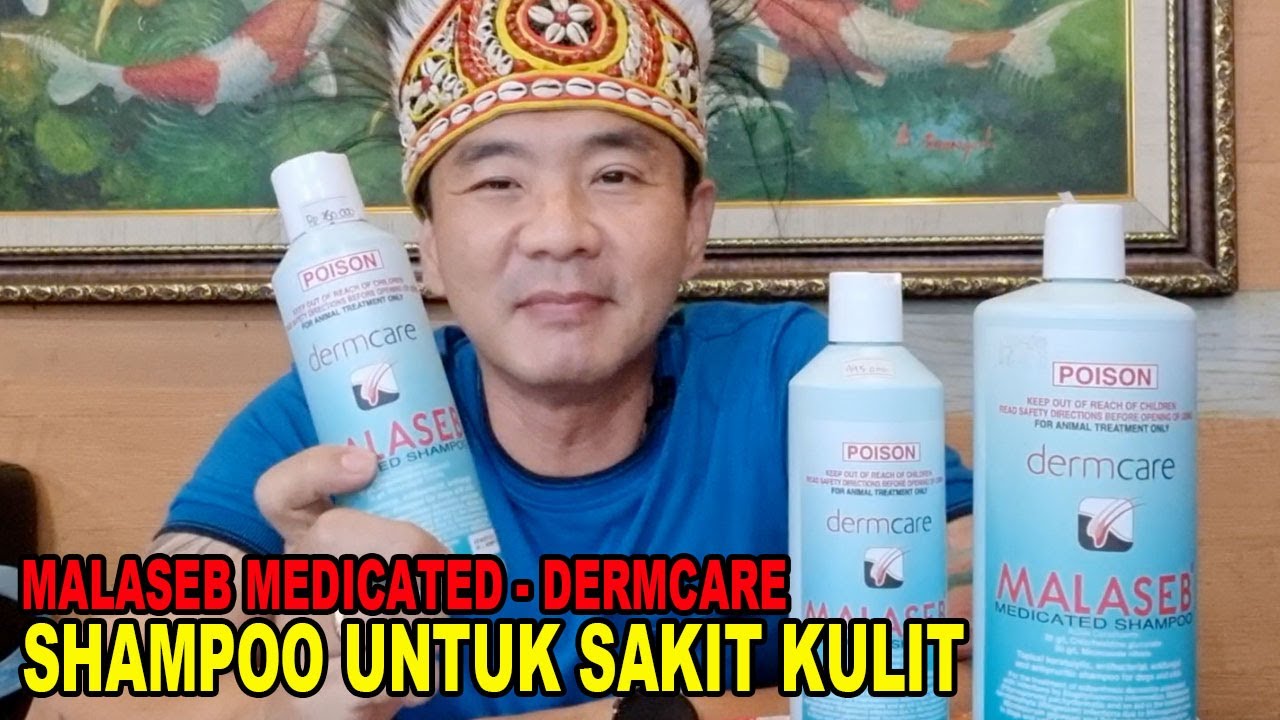SHAMPOO PENGOBATAN SAKIT KULIT UNTUK ANJING KUCING