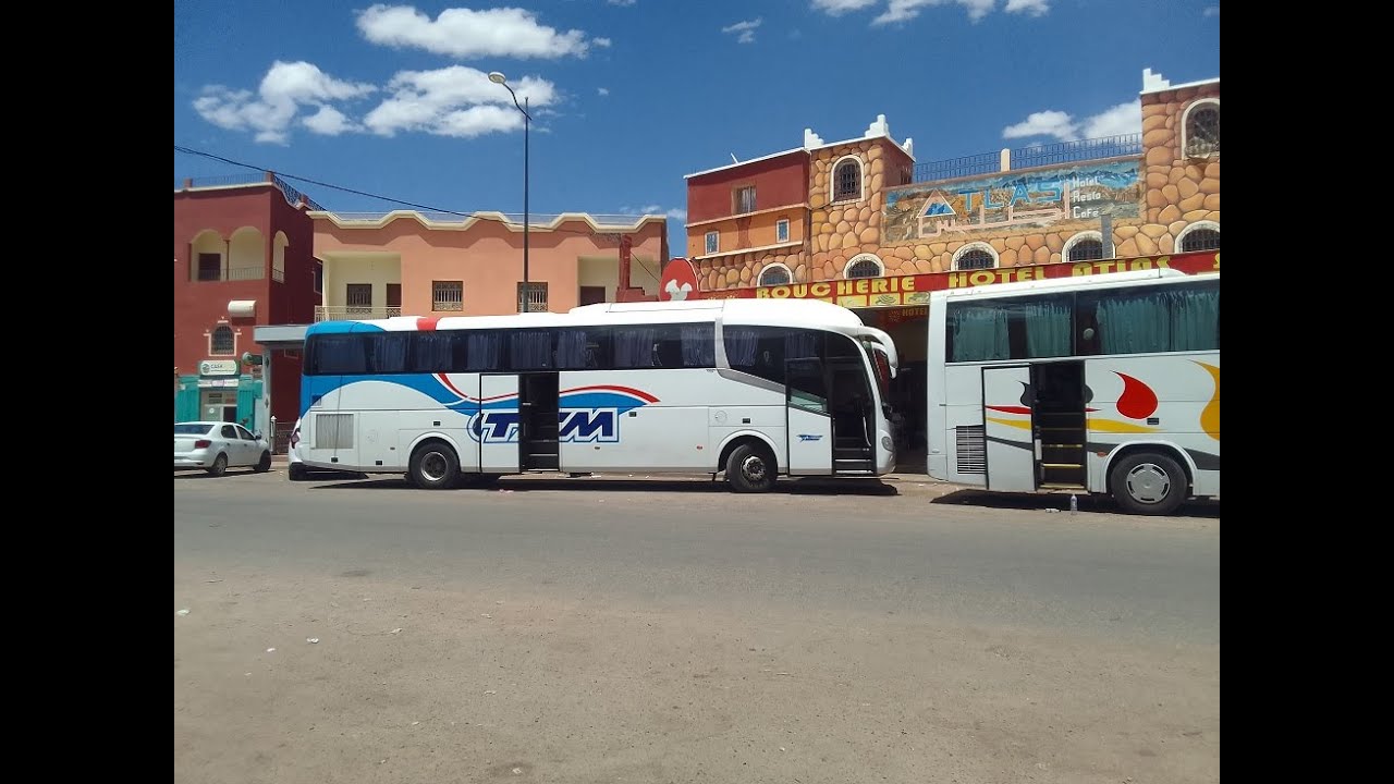 سافر بكل راحة مع ستيام مع حافلات جديد ومتعة في سفر CTM