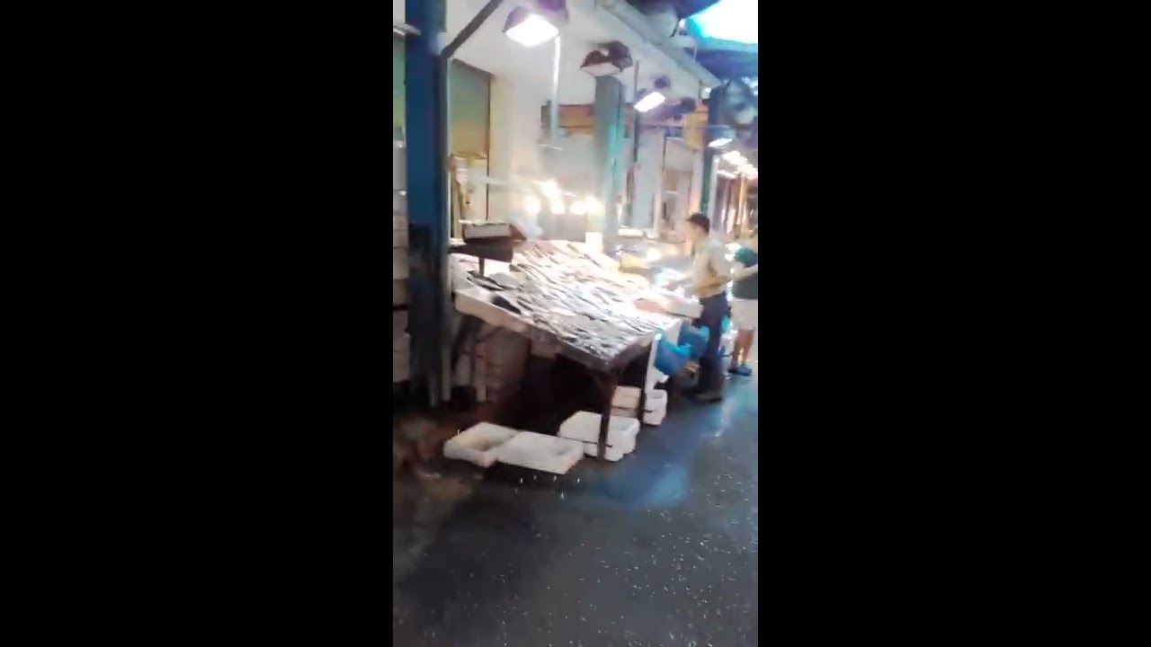 Butcher in Modiano Traditional Market Thessaloniki Greece