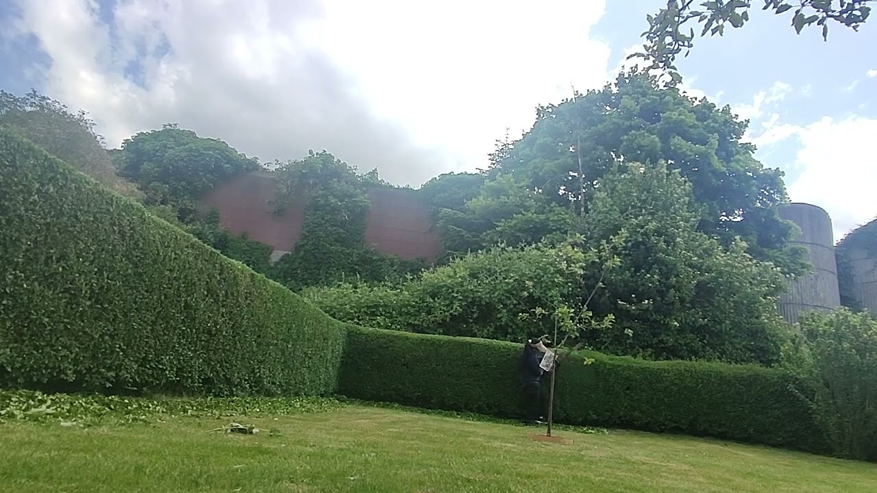 Let's trim the hedge gardening 2025 part1