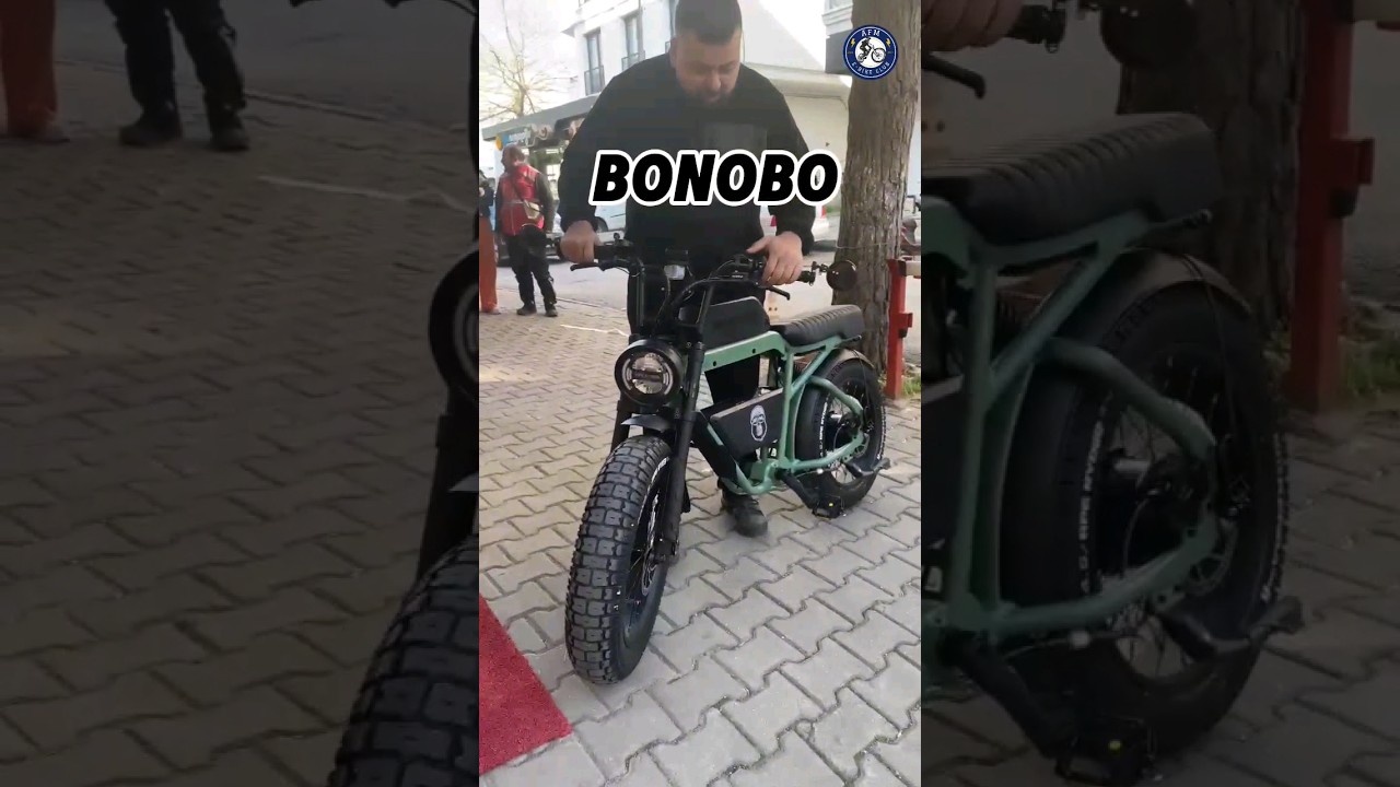 Ape Ryder Bonobo 750 watt Motor 