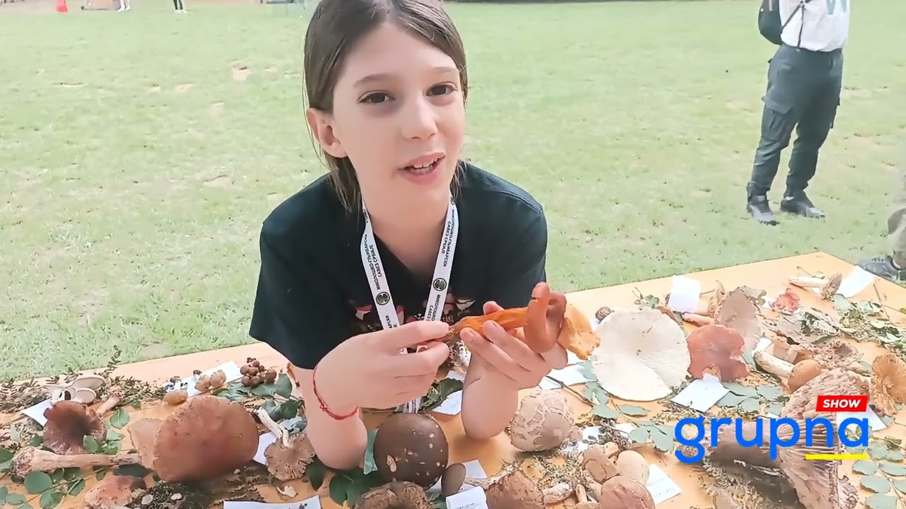 Razlika između Zavodnice i Lisičarke