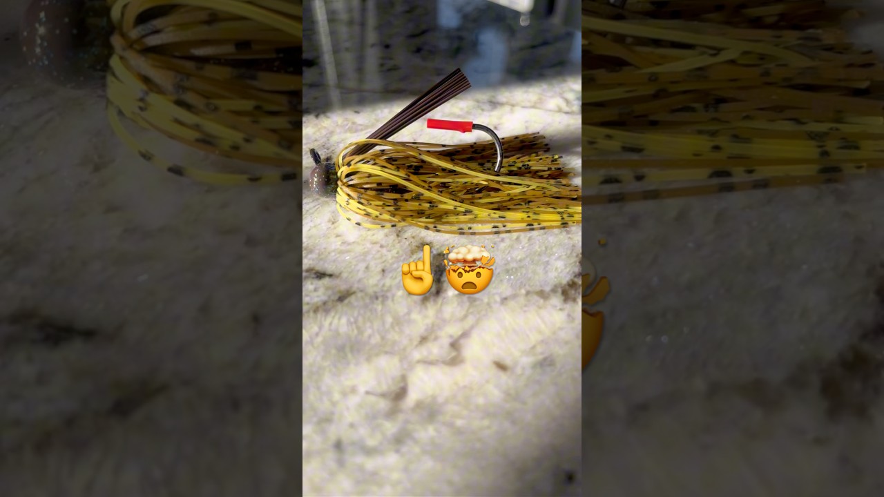 Best Spring 2025 Bass Lures! ￼￼