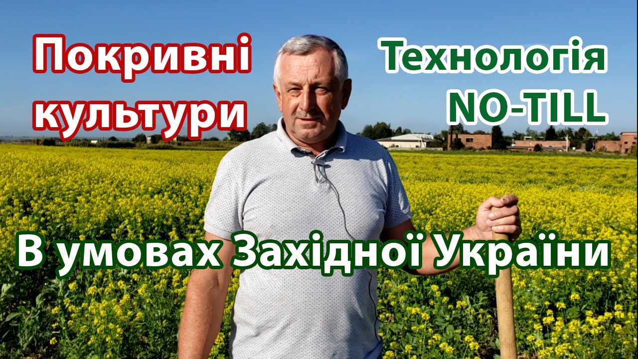 Игорь Шайнога: через покровные культуры в No-till. Западная Украина. Прямой посев.