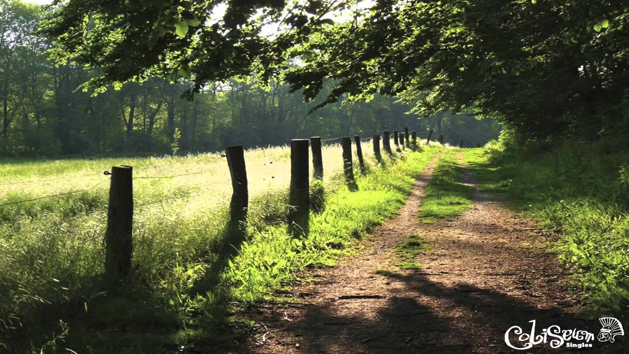 Dasha - My Way (Tim Wokan RMX)