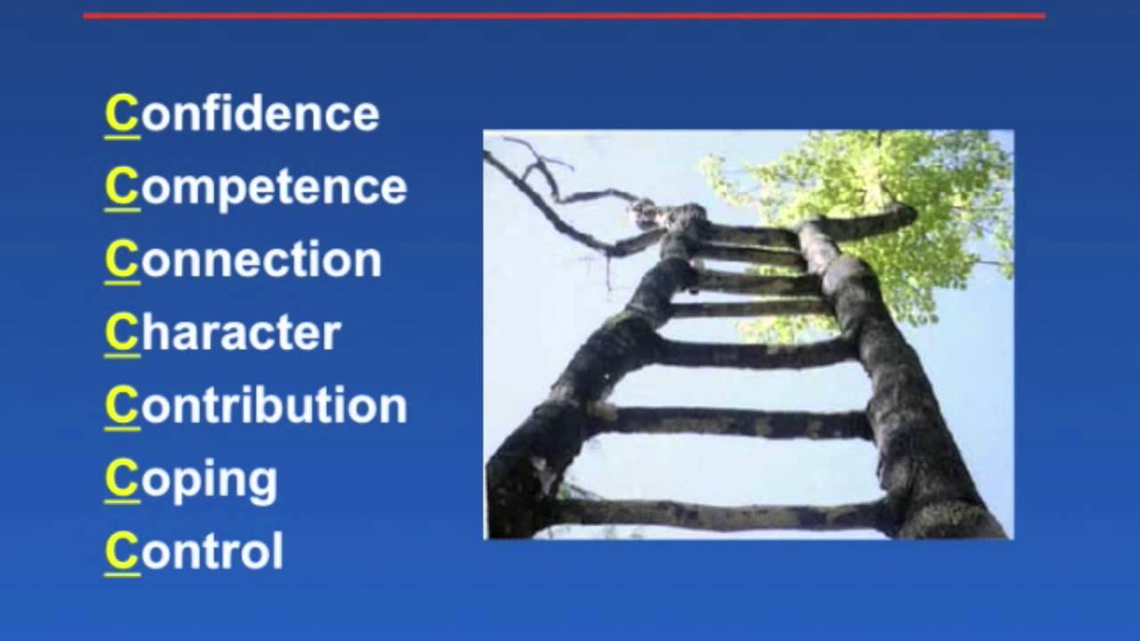 The 7 C's of Resilience