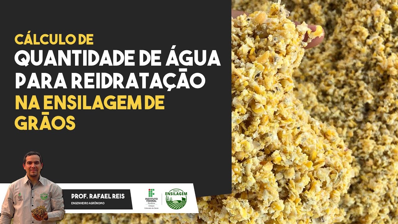 Cálculo de Quantidade de Água para Reidratação na Ensilagem de Grãos (Prof. Rafael Reis)