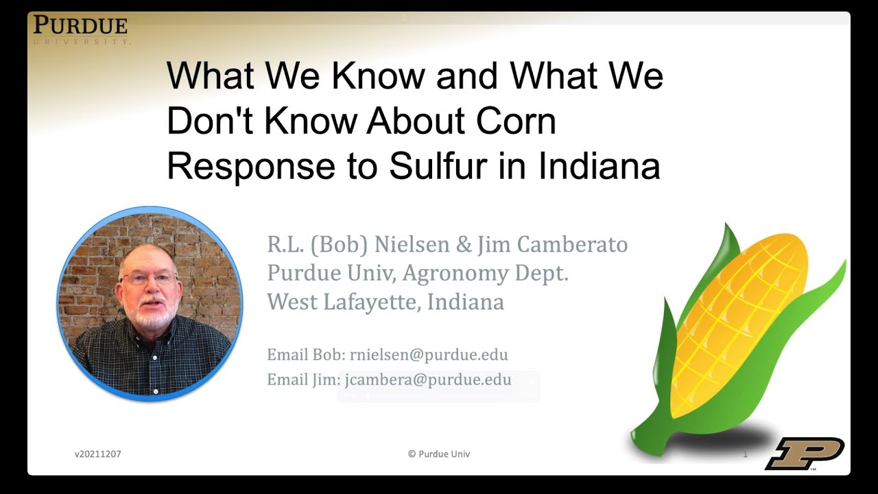 Corn Response to Sulfur in Indiana