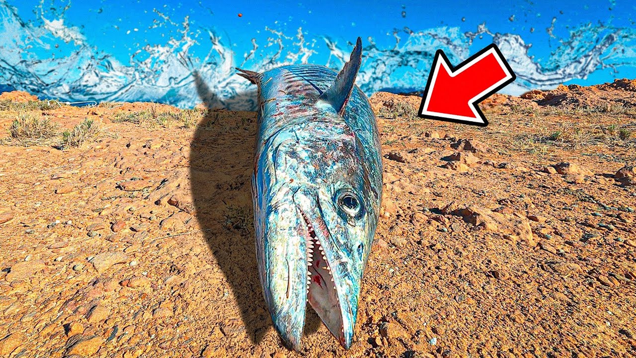 Cliff Edge ROCK FISHING Australia – A Must Try!
