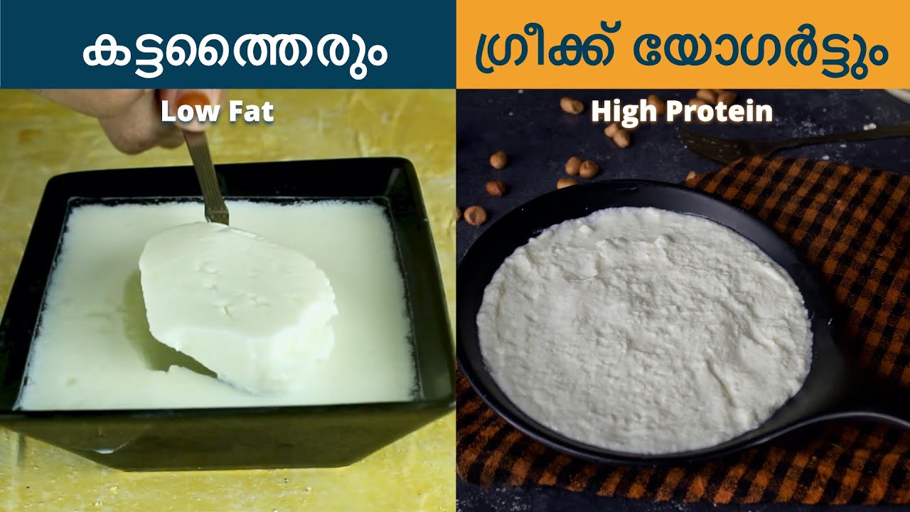 Yogurt & Greek yogurt | Foolproof recipe | Low fat | High protein (10 g per 100 g) | In Malayalam