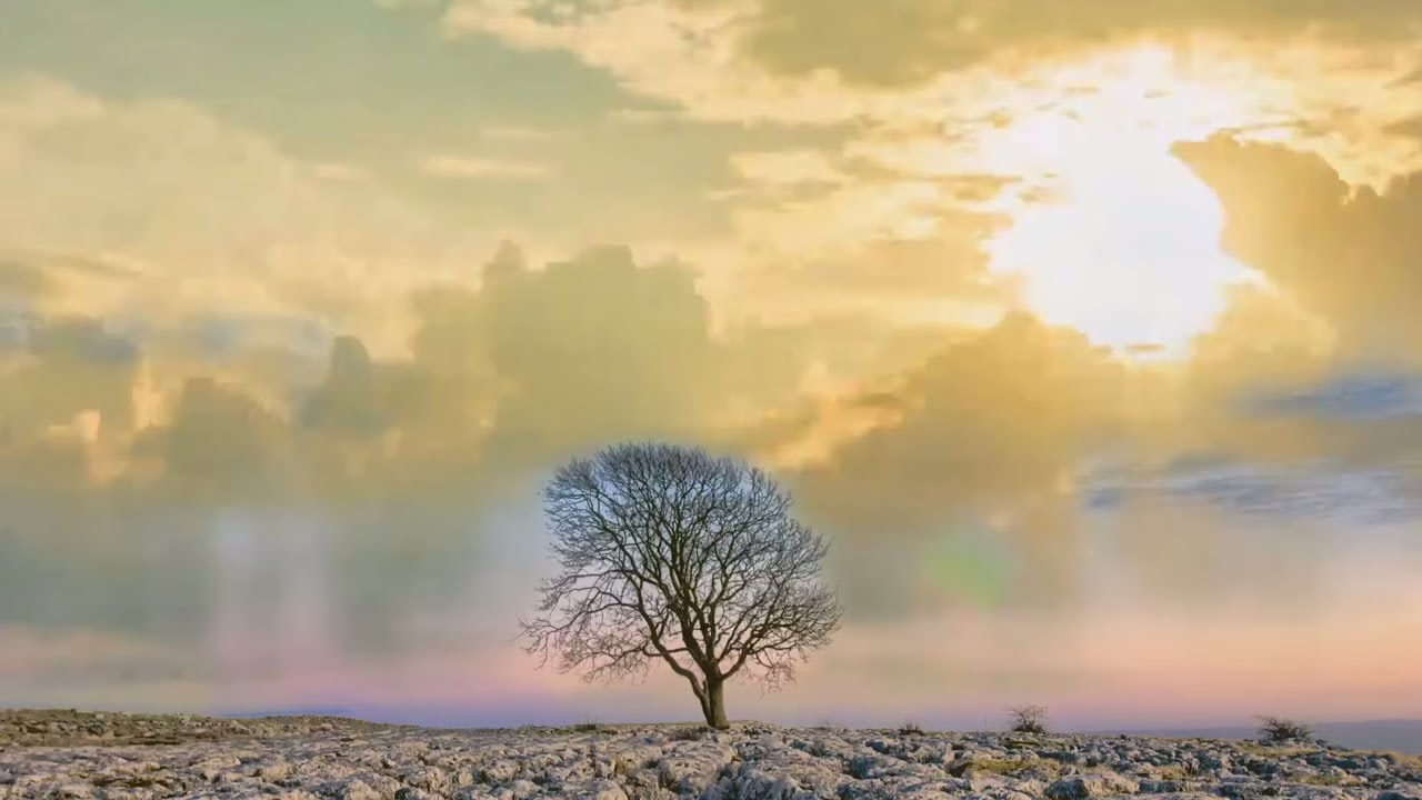 ALONE WITH JEHOVAH | Relaxing Meditation Music | Christian Healing Worship