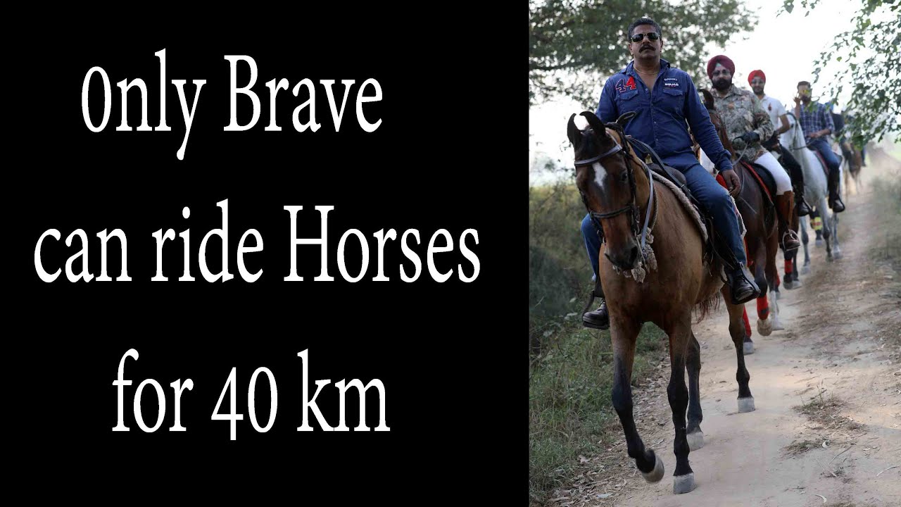 only brave can ride horses for 40 km