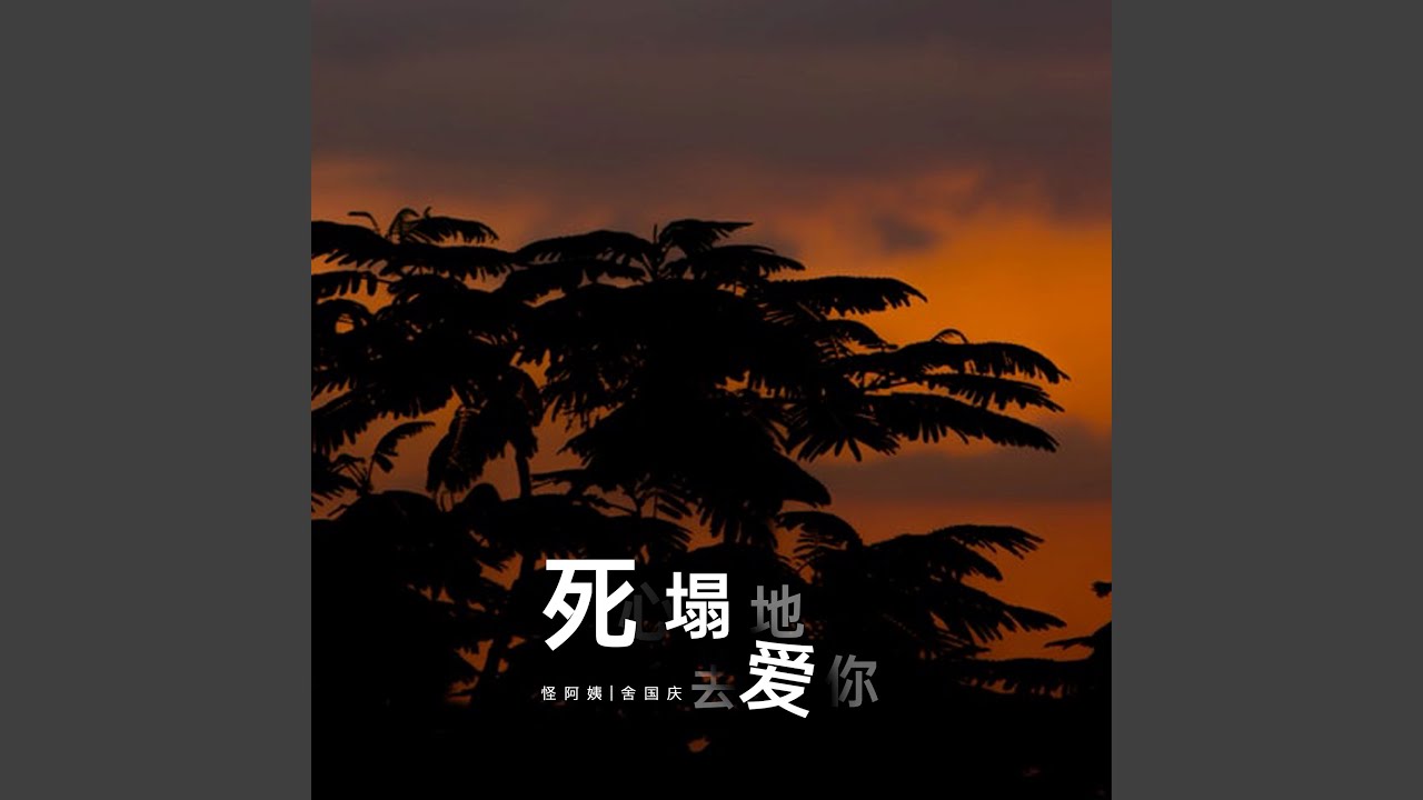 死心塌地去爱你