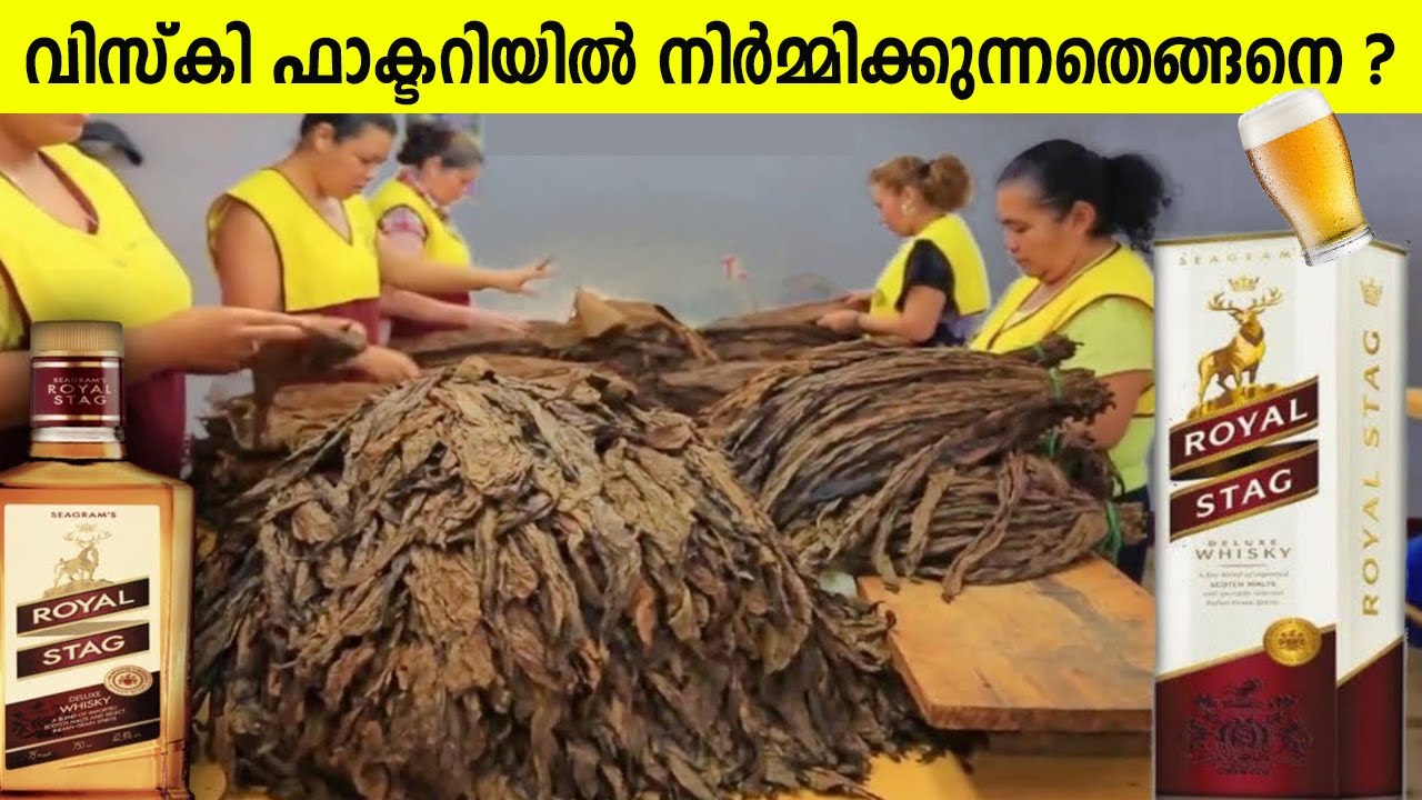 റോയൽ സ്റ്റാഗ്ഗ് വിസ്കി ഫാക്ടറിയിൽ നിർമ്മിക്കുന്നതെങ്ങനെയെന്നറിയണ്ടേ ? 🍻🥃